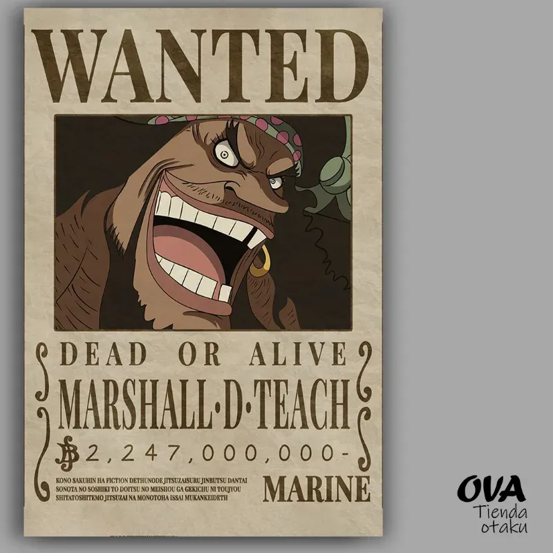 Cartel Marshall D Teach/ Barba negra (One Piece)
