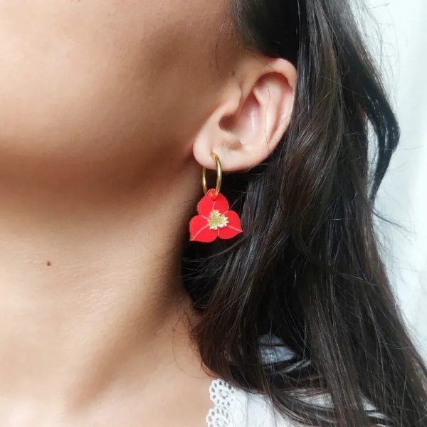 Argollas con bugambilias