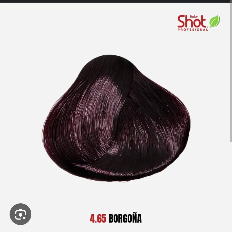 Tinte shot 4.65 borgoña
