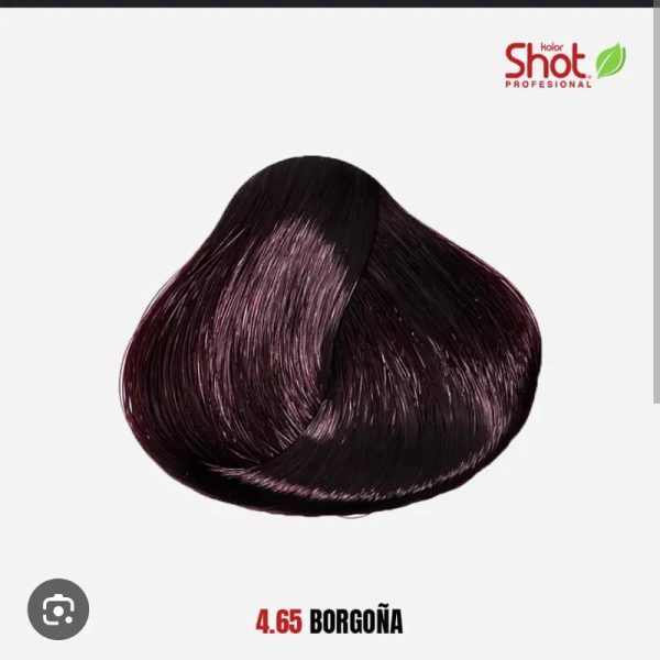 Tinte shot 4.65 borgoña