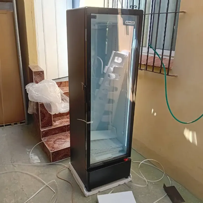 Exhibidora xingx de 13 pies