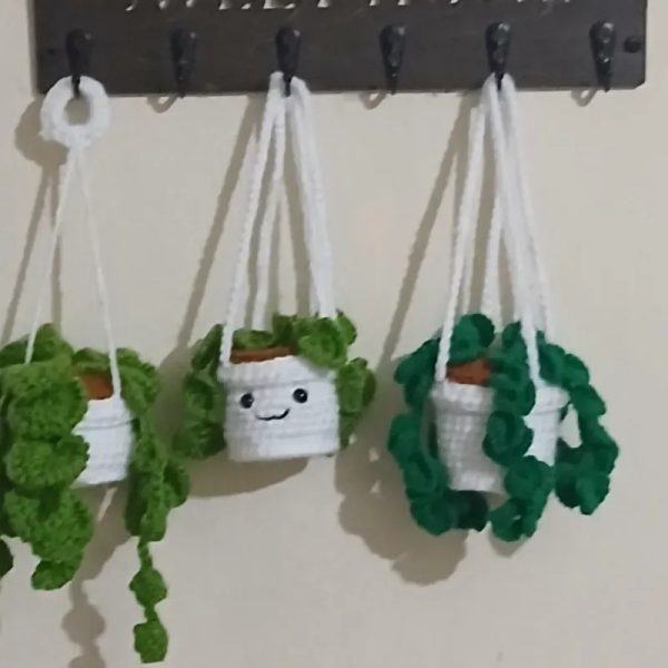 Plantas colgantes