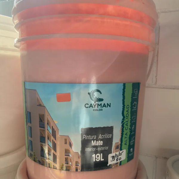 Mate 5 Años 19Lt