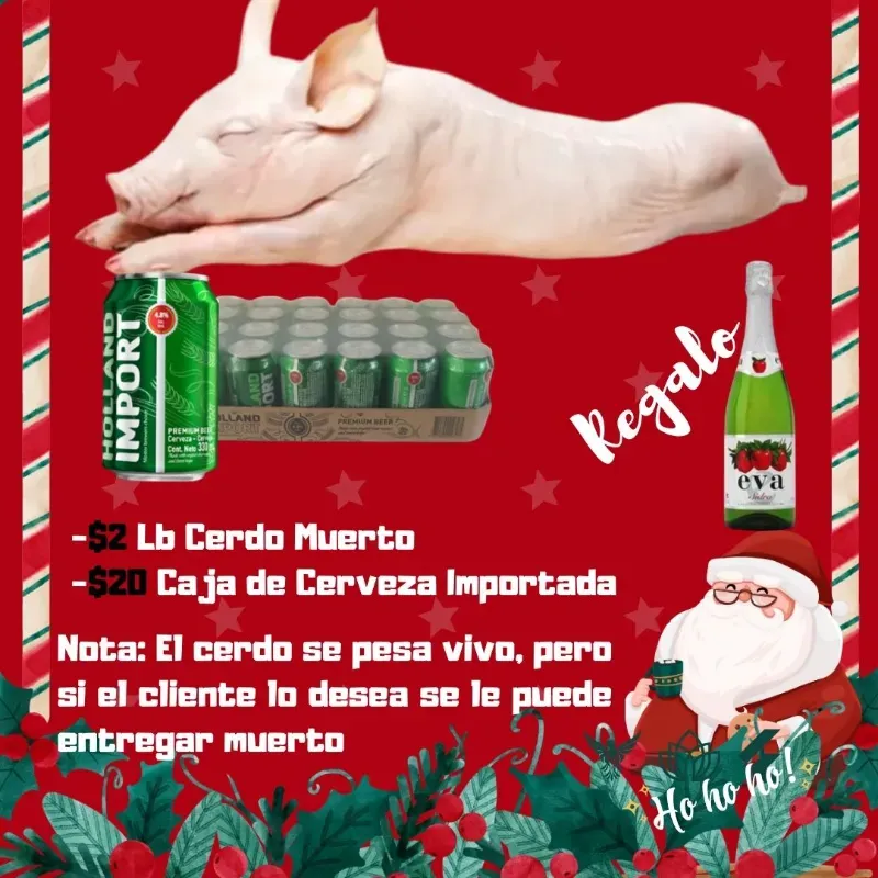 Combo Navideño 1