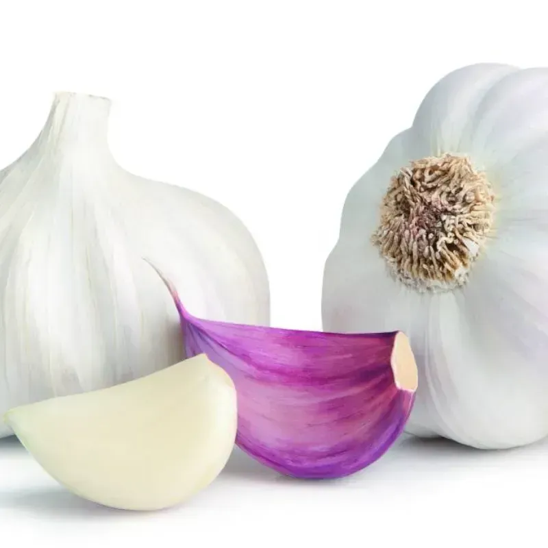 Ajo colombiano (pack de 5)