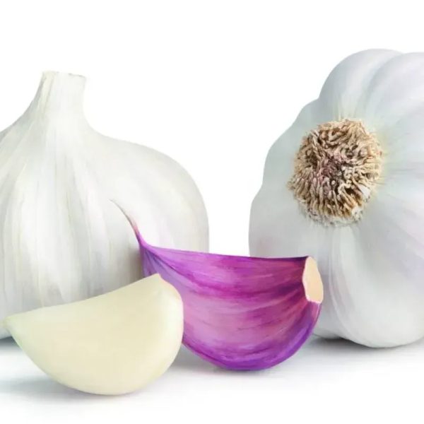 Ajo colombiano (pack de 5)