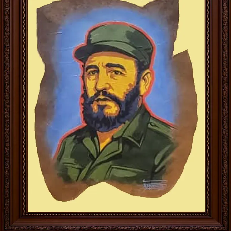 Fidel/ pop art