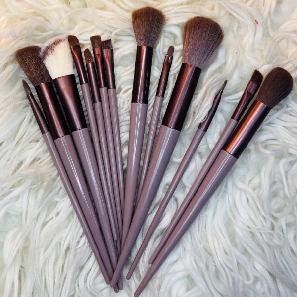Set de 13 brochas