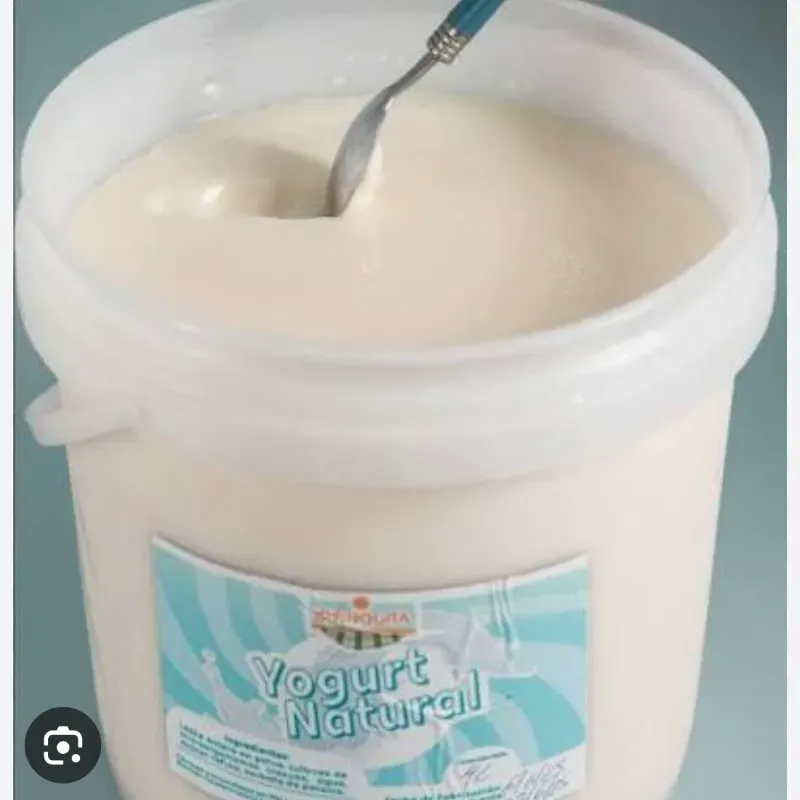 Yogurt Probiótico en Pomo 1 lt
