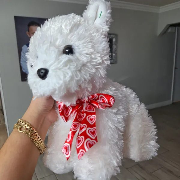 Hermoso perrito  
