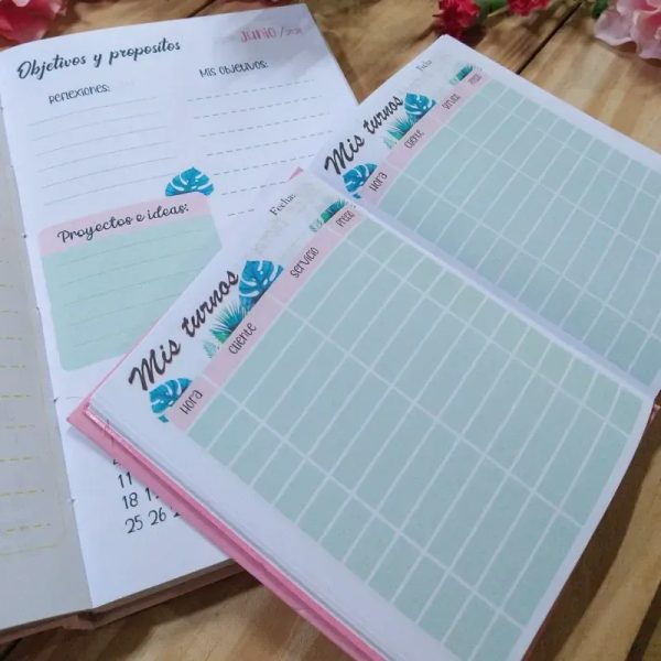 Agenda de turnos