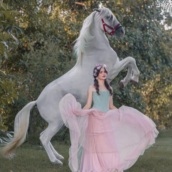 Otras del caballo