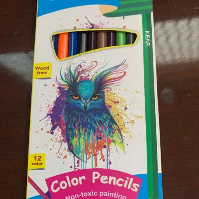 Lápices de colores 12 unidades