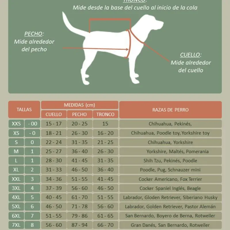 Cómo tomar las medidas