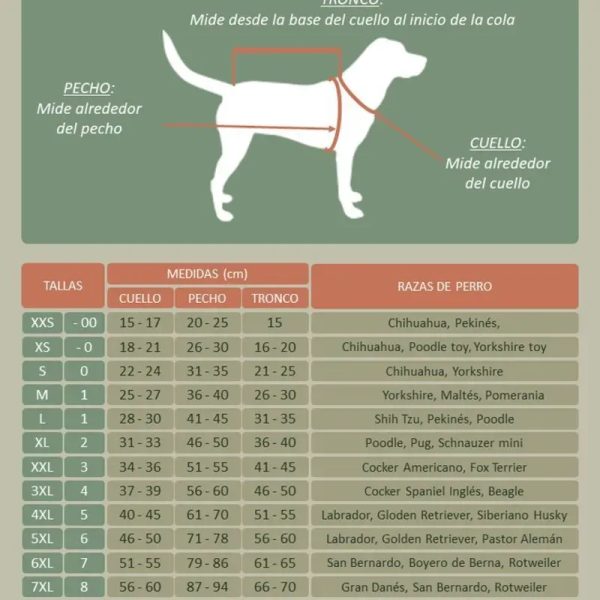 Cómo tomar las medidas