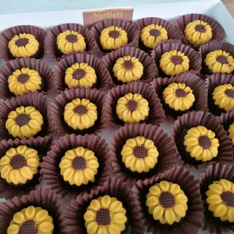 Campo de girasoles con relleno