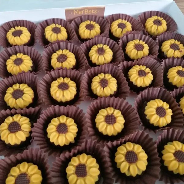 Campo de girasoles con relleno