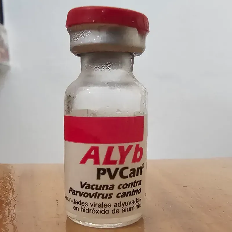VACUNA CONTRA PARVOVIRUS CANINO