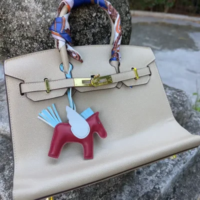 Hermès Birkin ✨