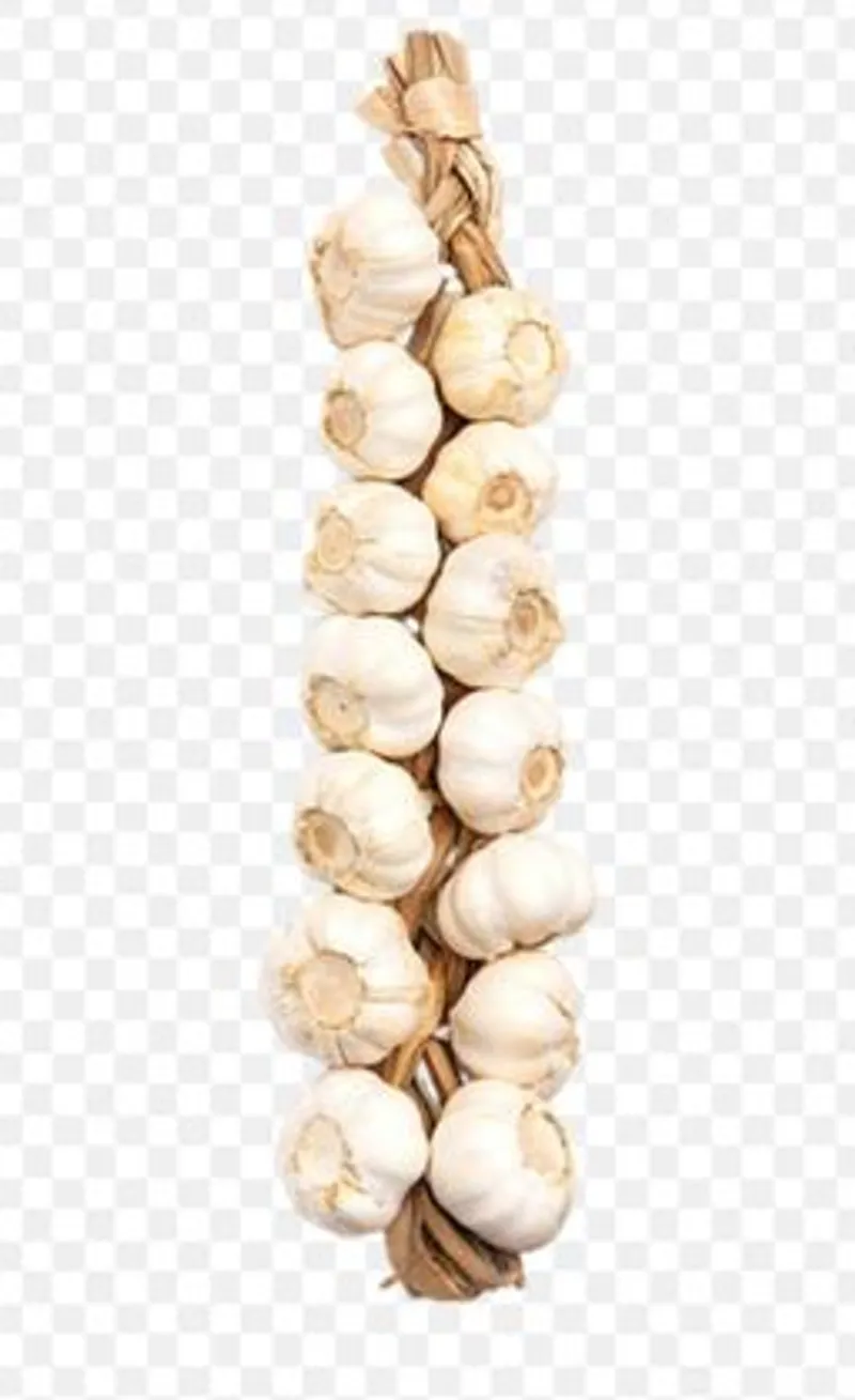 Ajo (Pata)