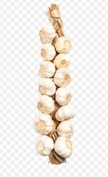 Ajo (Pata)