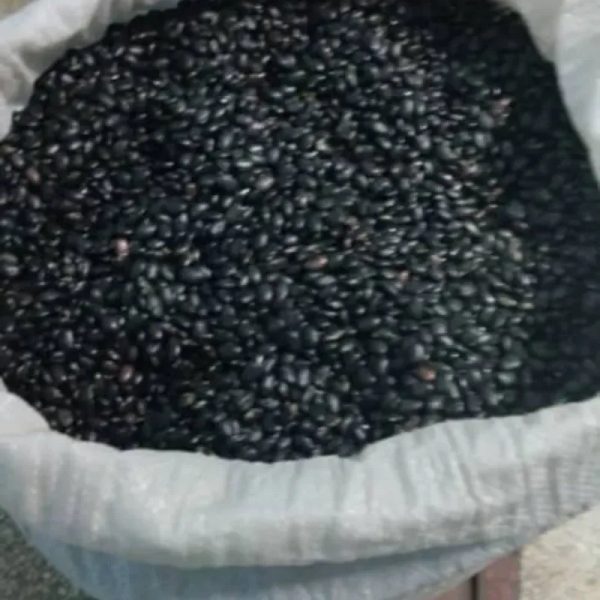 Frijoles negros 