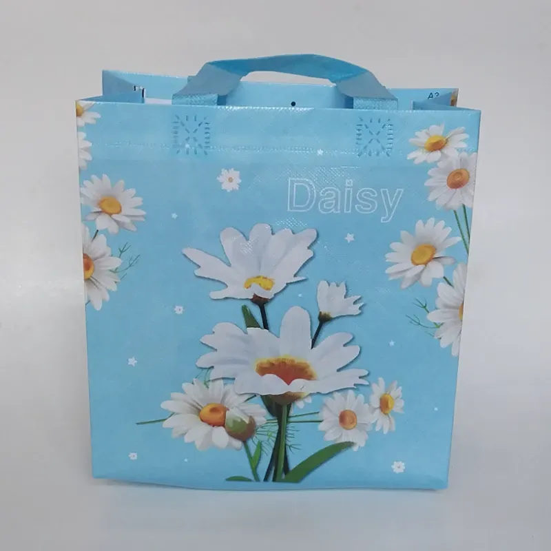 Bolsa de Regalo plástica reutilizable