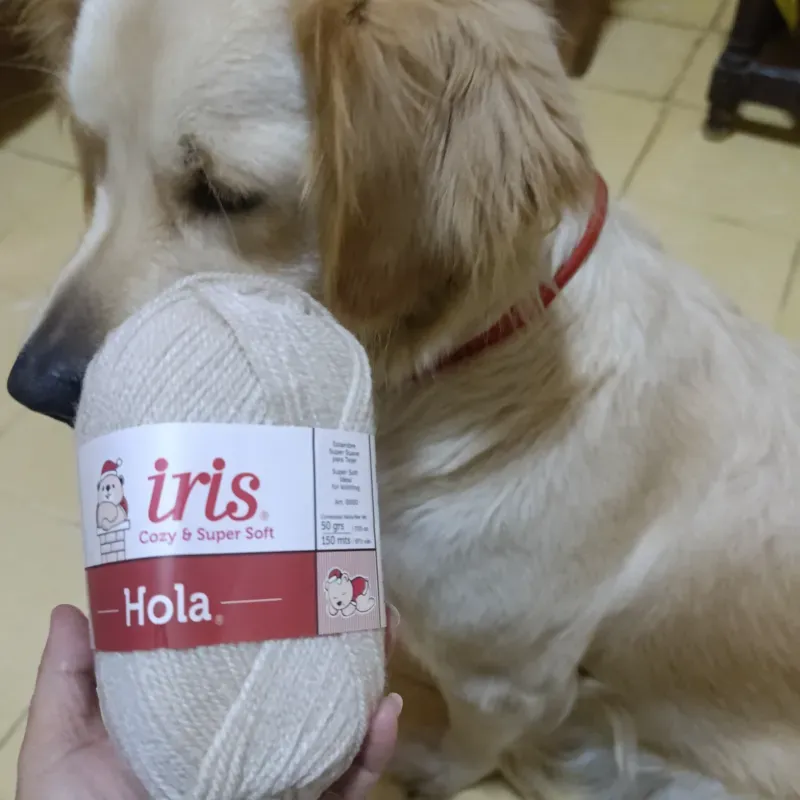 Hilo estambre Iris beige claro