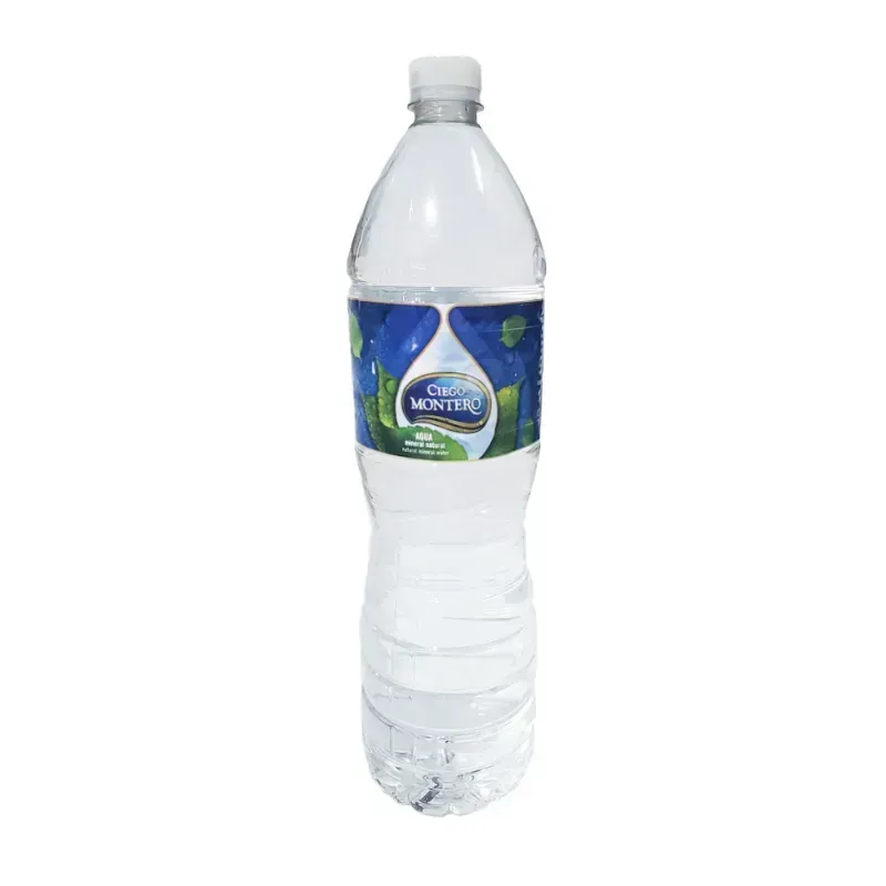 Agua Mineral 1L
