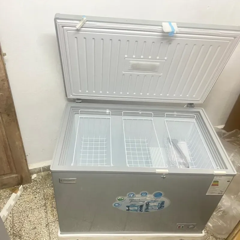 Nevera challanger gris 12 p3