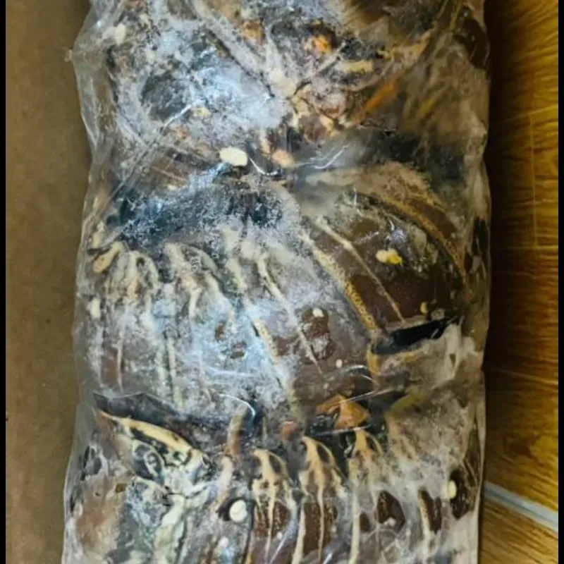 PAQUETE DE LANGOSTAS