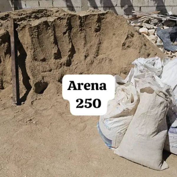 Arena