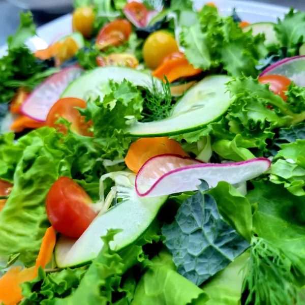 Ensalada de estación/ Season salad