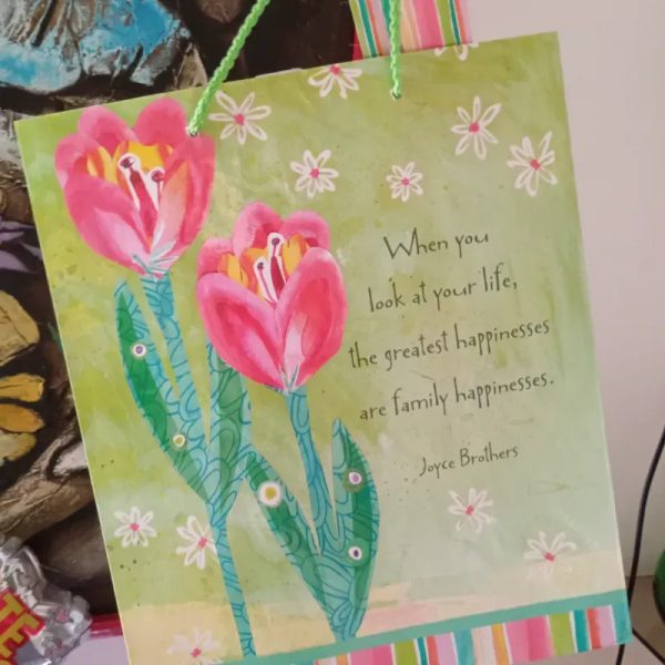 Bolsa de regalo