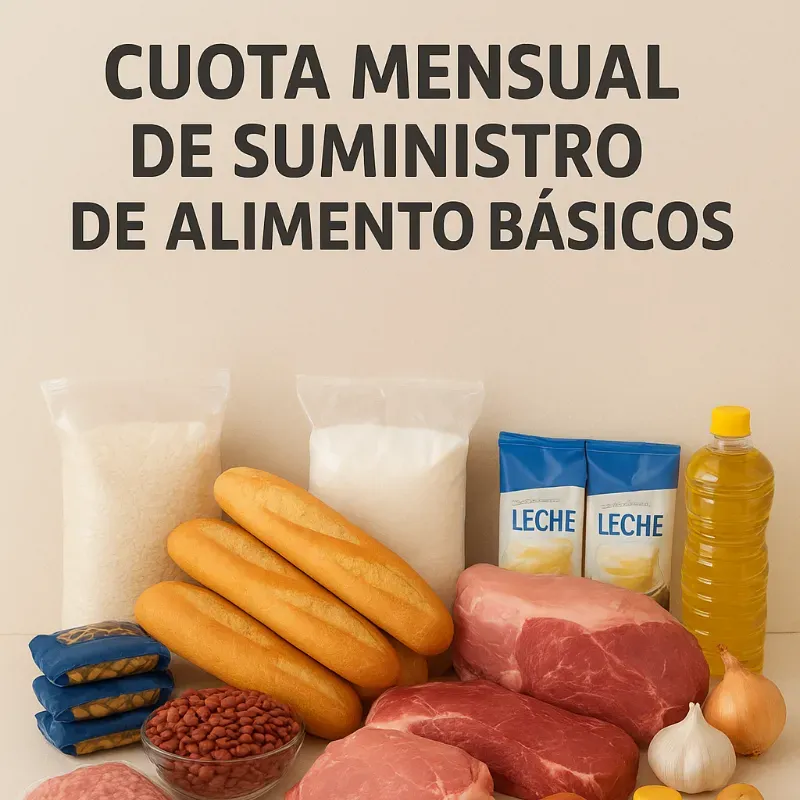Cuota mensual de alimentos básicos 