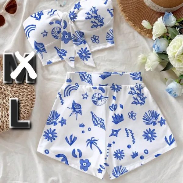 Conjunto de Top Bandeau