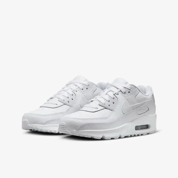 Nike Air Max 90