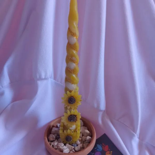 Vela girasol