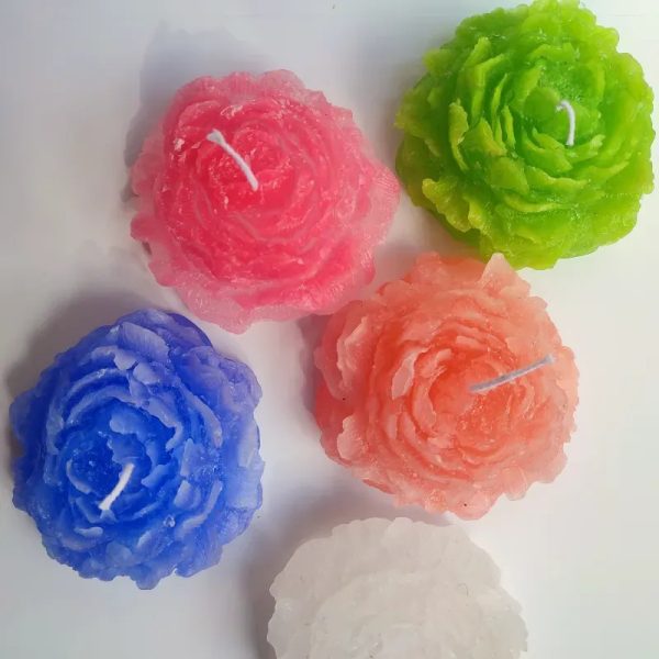 Rosa M