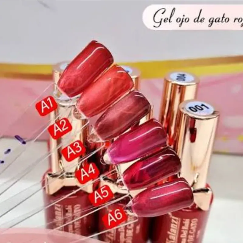 Pinturas Ojo de Gato Enigma Rubí ❤️