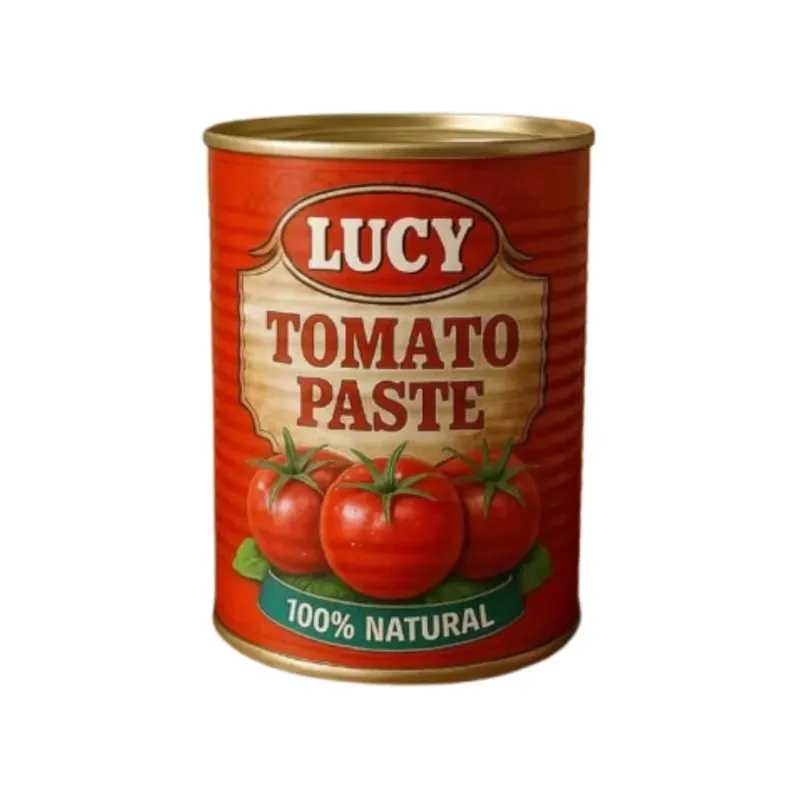 Pasta de Tomate 400g