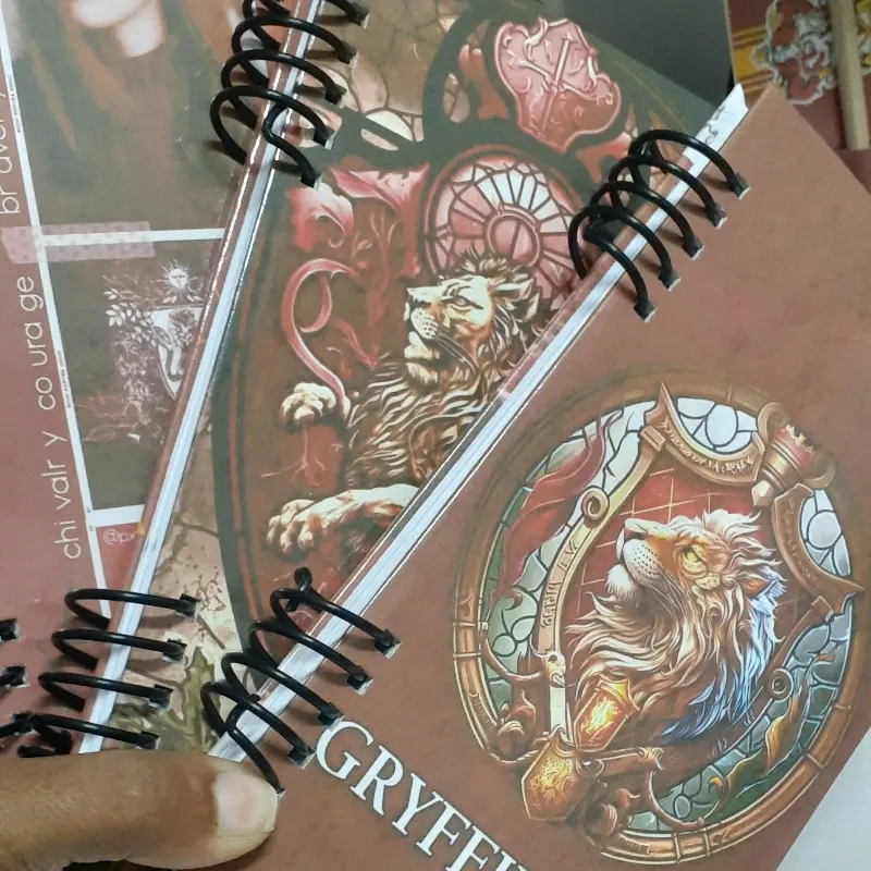 Skinny  Harry Potter