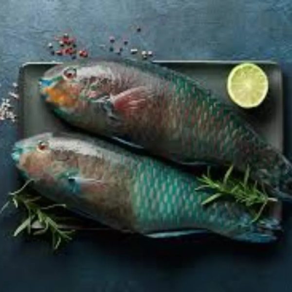 PESCADO LORO