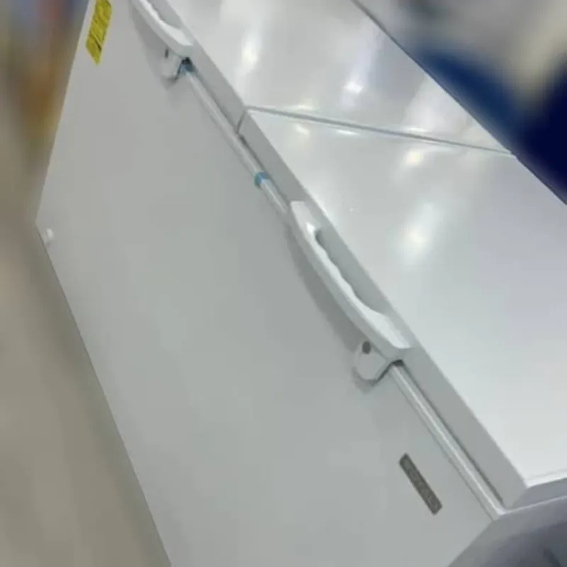 Nevera Royal 20 Pies