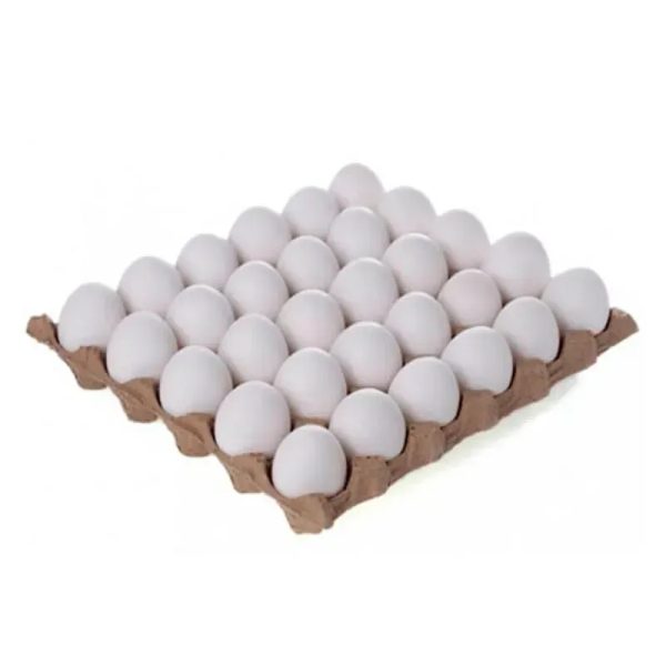 Huevos