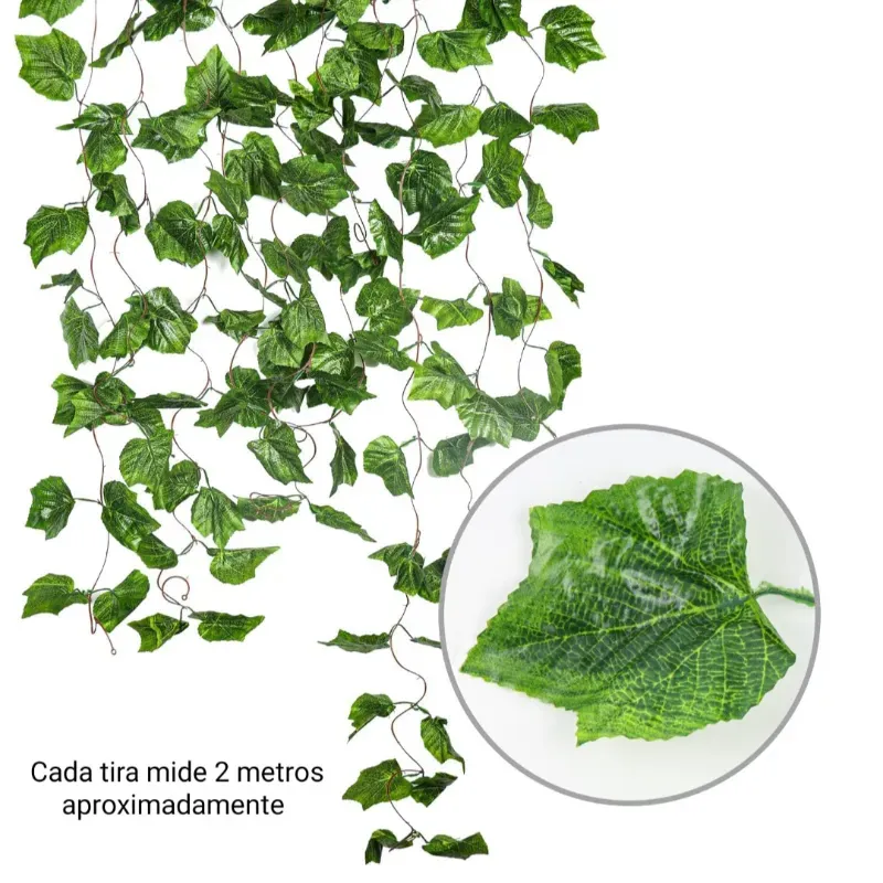 Paquete de 12 tiras de malanguita de 2.3 Metros cada una