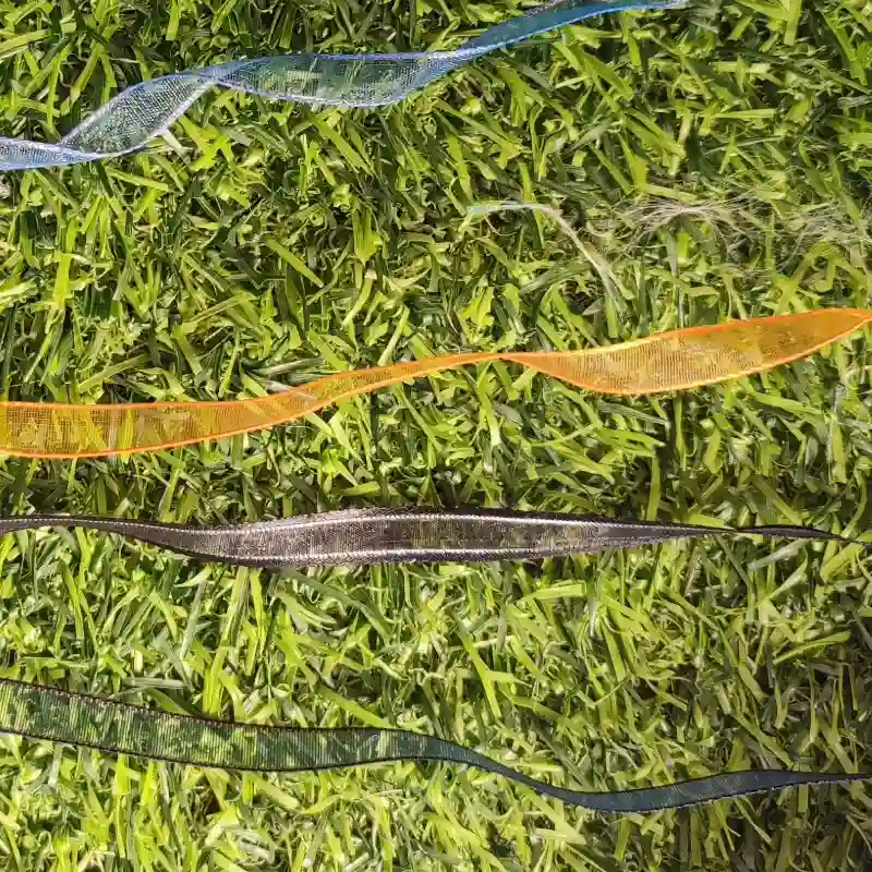 Cinta de organza con ribete