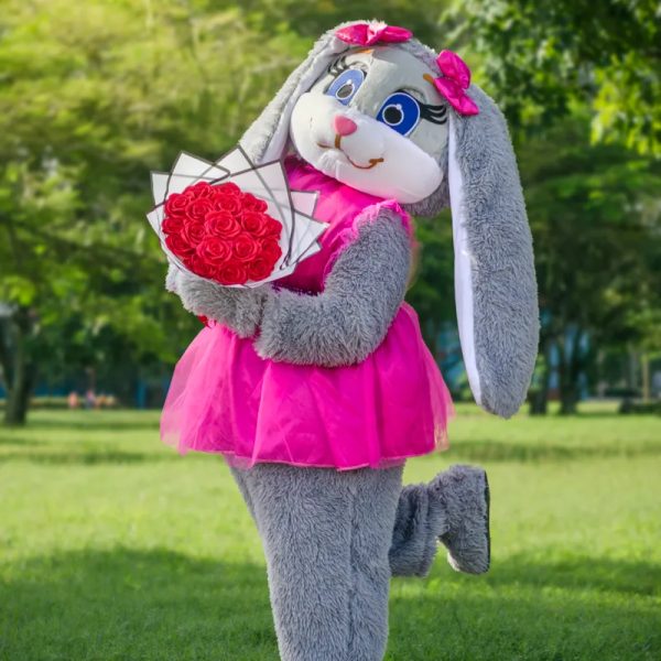 Judy 