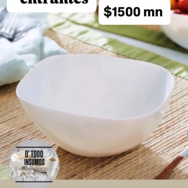 Plato Fuente Melaform