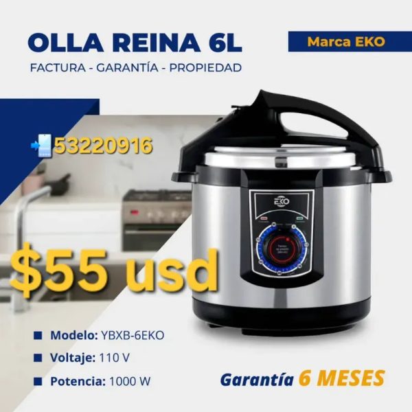 Olla Reina Eko 6L